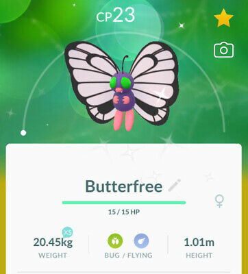 Featured image of post Butterfree Shiny