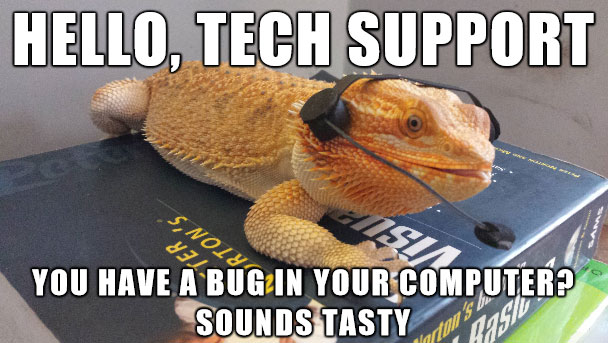 Featured image of post Funny Bearded Dragon Memes Clean