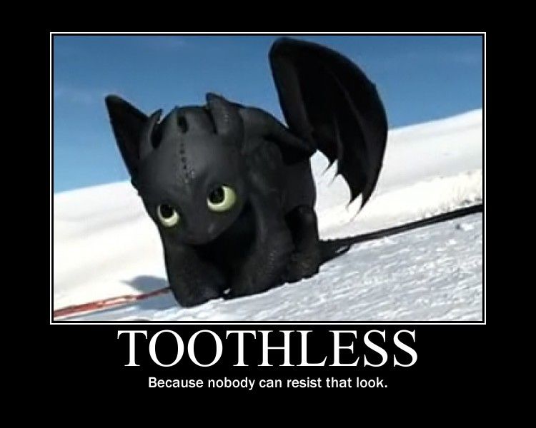 Featured image of post Funny Toothless Dragon Memes