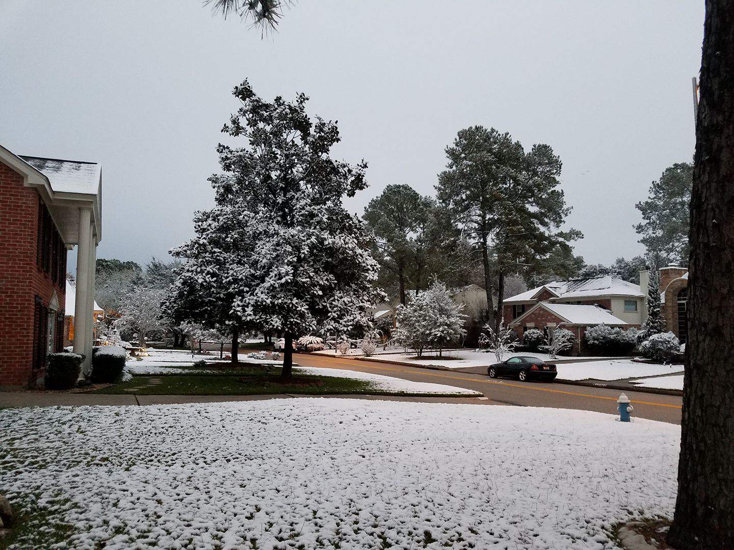 Featured image of post Houston Texas Snow Images