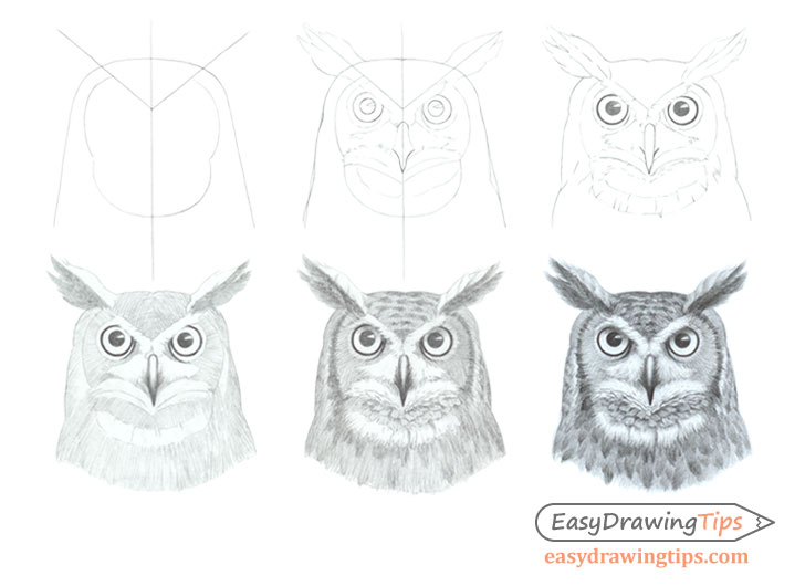 Featured image of post Owl Head Drawing Easy