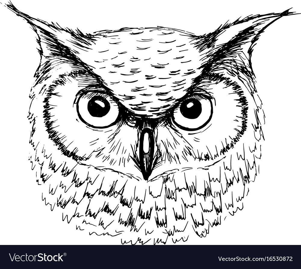 Featured image of post Owl Head Drawing Outline