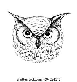 Featured image of post Owl Head Drawing