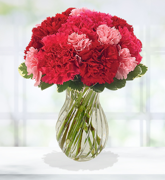 Featured image of post Pictures Of Carnations Bouquet