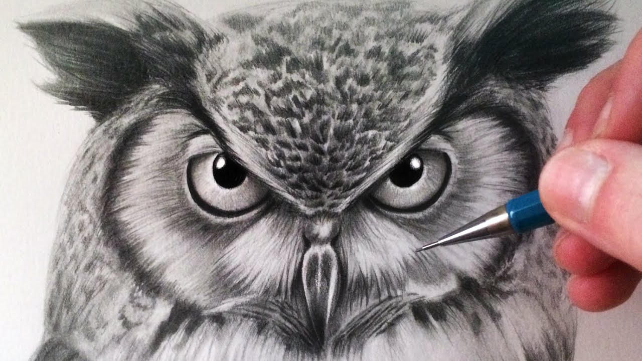 Featured image of post Realistic Owl Head Drawing