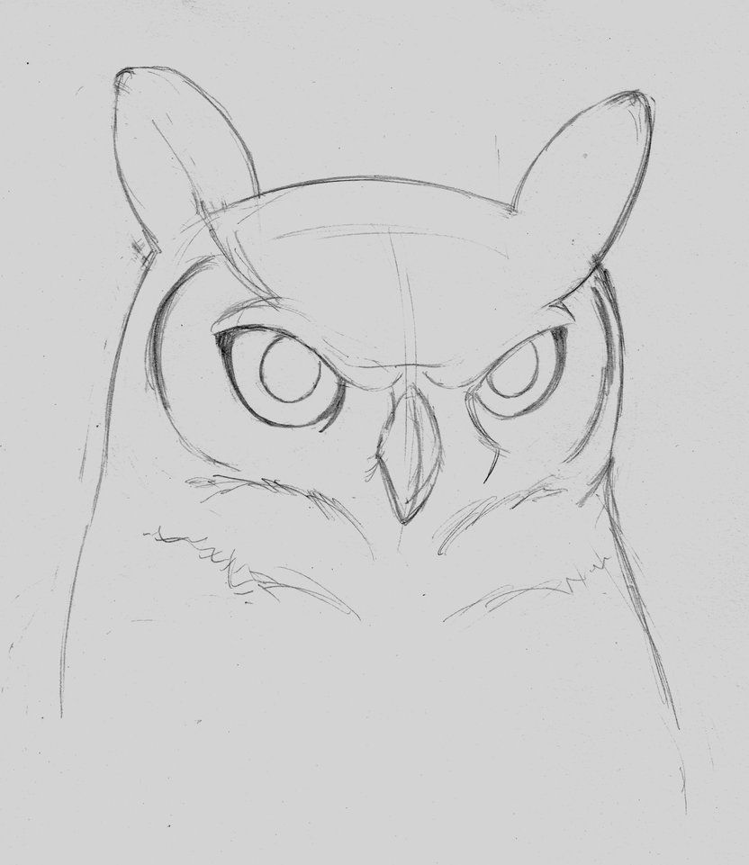 Featured image of post Simple Owl Head Drawing