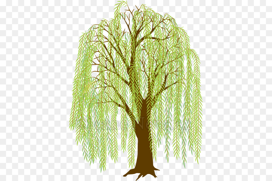 Featured image of post Willow Tree Silhouette Clip Art